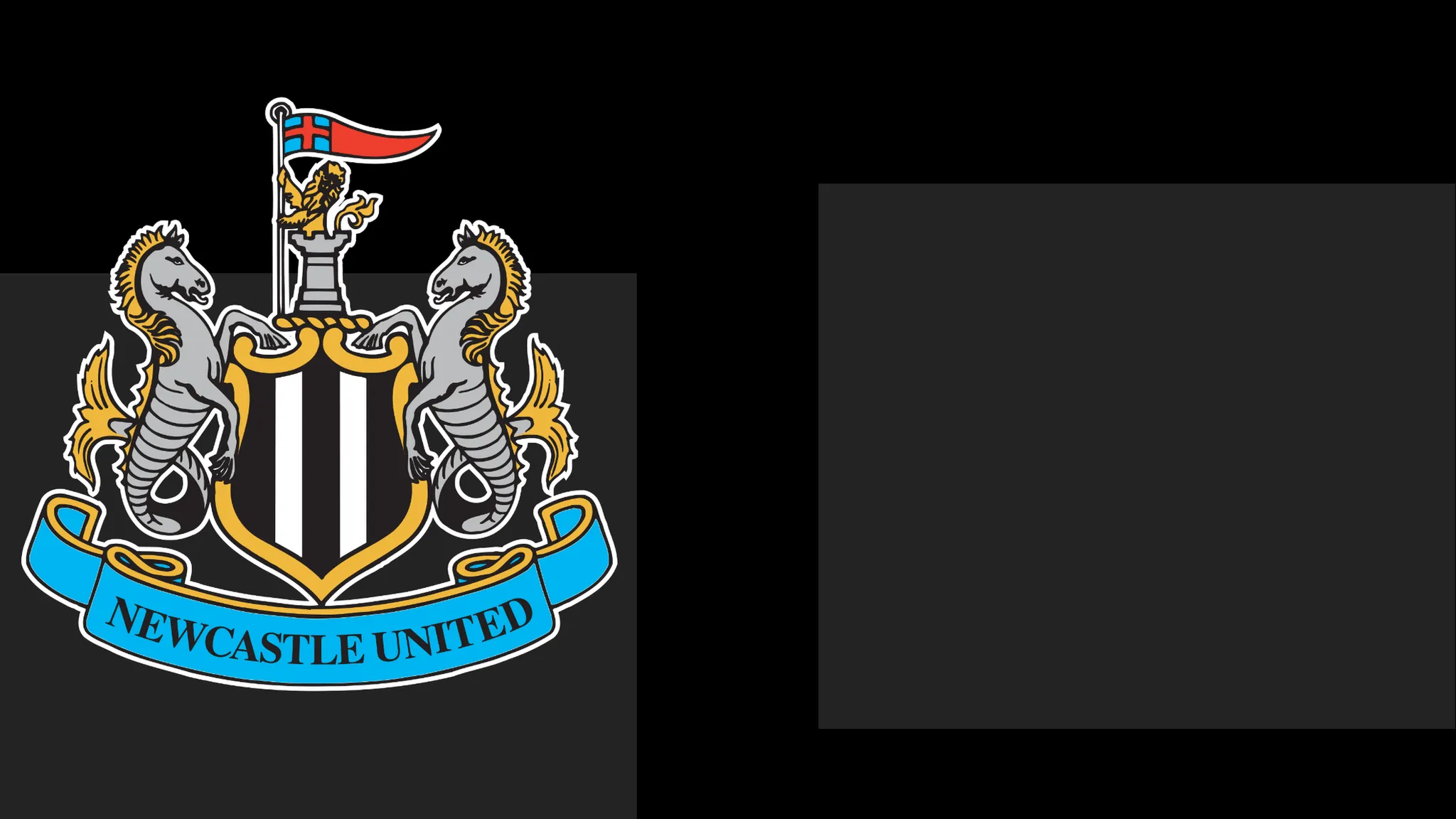 Newcastle's boss Praises Team's Spirit – However It Only Takes Them To a Point